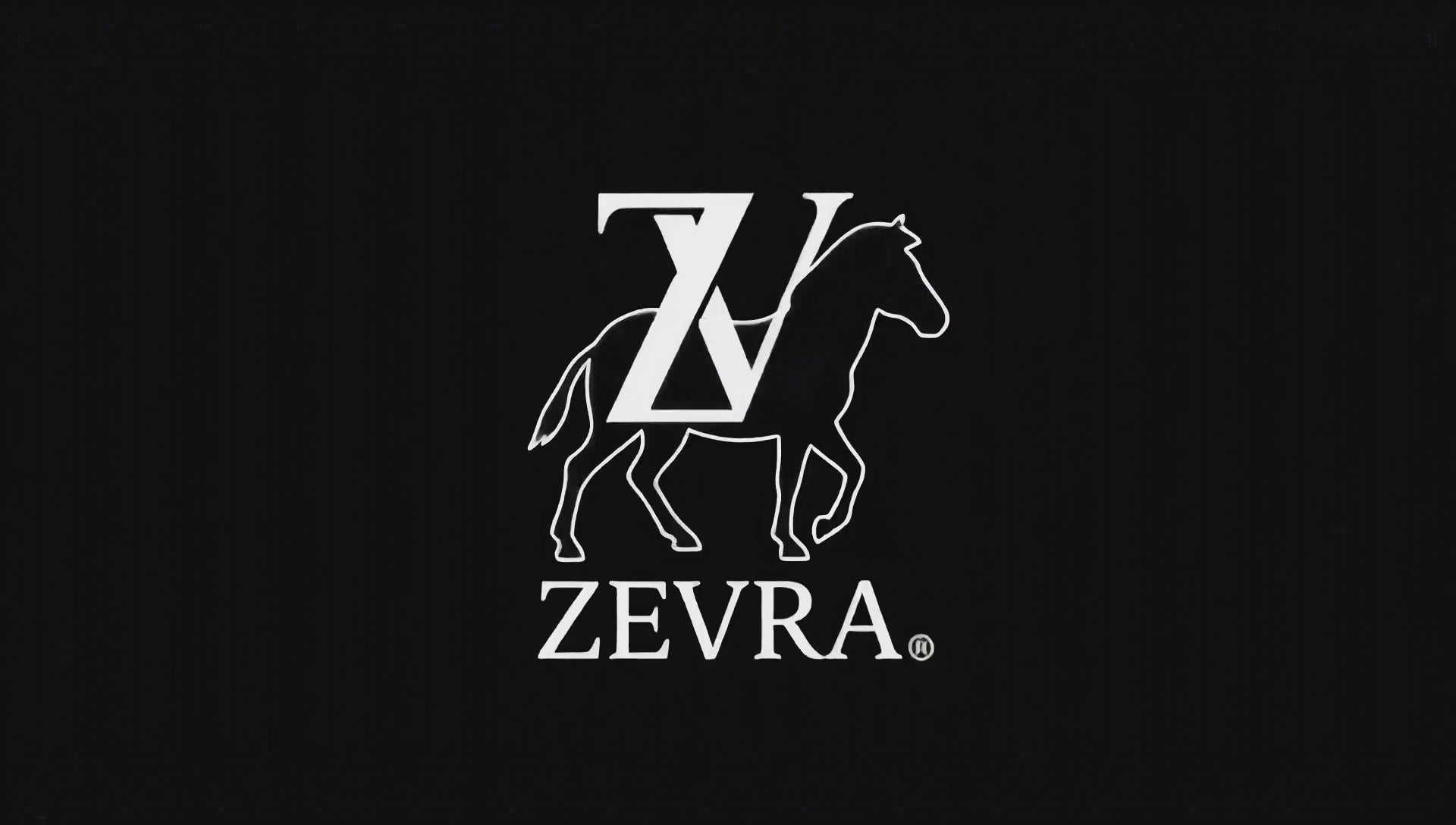 Cargar video: Animación Logo ZEVRA